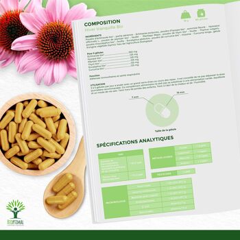 Hiver Tranquille Bio - Complément alimentaire - Échinacée Curcuma Thym Eucalyptus Plantain Hysope - Système immunitaire - Fabriqué en France - Vegan - gélules 6