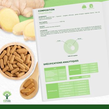 Gingembre Bio - Complément alimentaire - Energie Mal des transports Digestion - 270 mg par gélule - Fabriqué en France - Certifié par Ecocert - Vegan - gélules 6