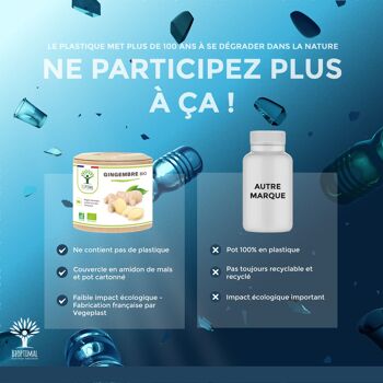 Gingembre Bio - Complément alimentaire - Energie Mal des transports Digestion - 270 mg par gélule - Fabriqué en France - Certifié par Ecocert - Vegan - gélules 10