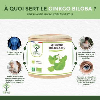 Ginkgo Biloba bio - Complément alimentaire - Mémoire Concentration Circulation - 100% Poudre de Feuille Pure en gélules - Fabriqué en France - Vegan - gélules 3