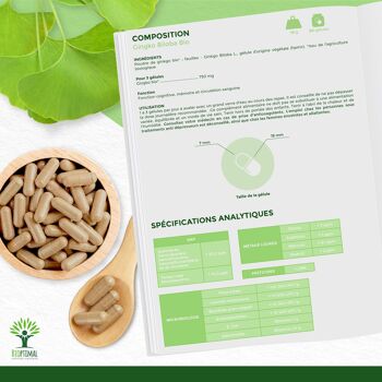 Ginkgo Biloba bio - Complément alimentaire - Mémoire Concentration Circulation - 100% Poudre de Feuille Pure en gélules - Fabriqué en France - Vegan - gélules 6
