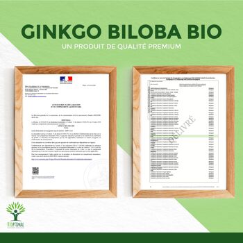 Ginkgo Biloba bio - Complément alimentaire - Mémoire Concentration Circulation - 100% Poudre de Feuille Pure en gélules - Fabriqué en France - Vegan - gélules 9