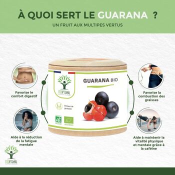 Guarana Bio - Complément alimentaire - Brûle Graisse Énergie - Caféine - 100% Poudre de guarana en gélules - Fabriqué en France - Certifié Ecocert - gélules 3