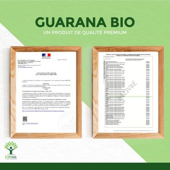 Guarana Bio - Complément alimentaire - Brûle Graisse Énergie - Caféine - 100% Poudre de guarana en gélules - Fabriqué en France - Certifié Ecocert - gélules 9