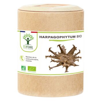 Harpagophytum Bio - Complément alimentaire - Articulation Digestion Appétit - 100% Poudre de Racine Pure en gélules - Fabriqué en France - Vegan - gélules 2