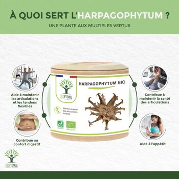 Harpagophytum Bio - Complément alimentaire - Articulation Digestion Appétit - 100% Poudre de Racine Pure en gélules - Fabriqué en France - Vegan - gélules 3