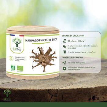 Harpagophytum Bio - Complément alimentaire - Articulation Digestion Appétit - 100% Poudre de Racine Pure en gélules - Fabriqué en France - Vegan - gélules 7