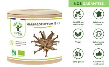 Harpagophytum Bio - Complément alimentaire - Articulation Digestion Appétit - 100% Poudre de Racine Pure en gélules - Fabriqué en France - Vegan - gélules 8