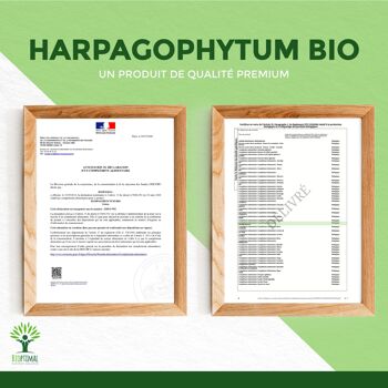 Harpagophytum Bio - Complément alimentaire - Articulation Digestion Appétit - 100% Poudre de Racine Pure en gélules - Fabriqué en France - Vegan - gélules 9