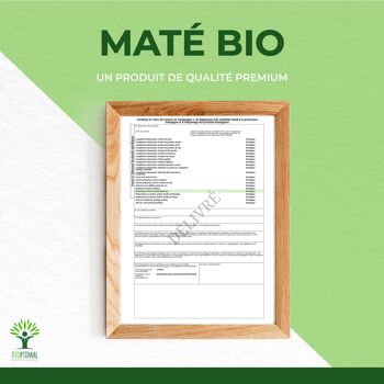 Maté Bio - Infusion en Vrac - Maté Yerba - Energisant - Minceur - 100% Naturel & Pur - Conditionné en France - Certification Ecocert 8