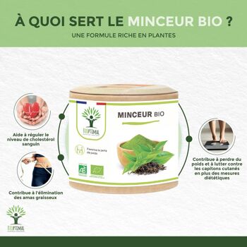 Minceur Bio - Complément alimentaire - Thé vert Guarana Artichaut - Perte de poids Brûle graisse Digestion Draineur - Fabriqué en France - Vegan - gélules 3