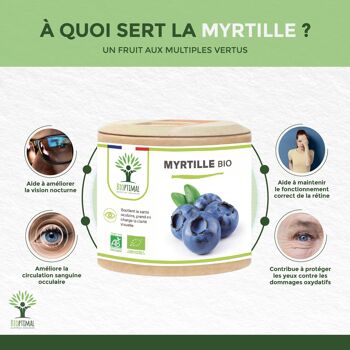 Myrtille Bio - Complément alimentaire - Yeux Clarté visuelle Vision nocturne - 100% poudre de myrtille en gélules - Fabriqué en France - Vegan - gélules 3