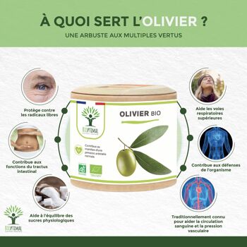 Olivier Bio - Complément alimentaire - Circulation Sanguine Diurétique Défenses immunitaires - Feuilles d'olivier en poudre - Fabriqué en France -  gélules 3