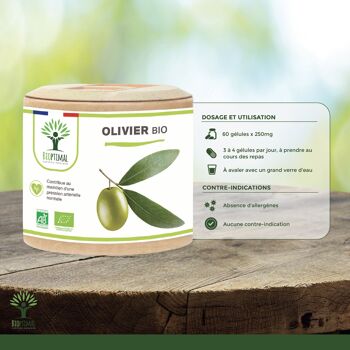 Olivier Bio - Complément alimentaire - Circulation Sanguine Diurétique Défenses immunitaires - Feuilles d'olivier en poudre - Fabriqué en France -  gélules 7