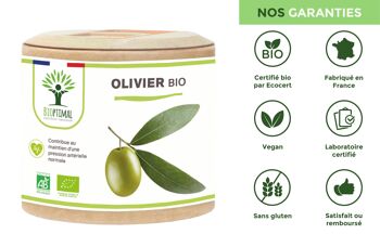 Olivier Bio - Complément alimentaire - Circulation Sanguine Diurétique Défenses immunitaires - Feuilles d'olivier en poudre - Fabriqué en France -  gélules 8