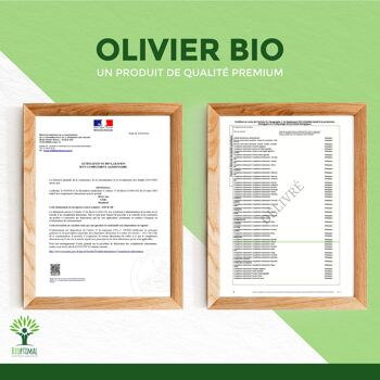 Olivier Bio - Complément alimentaire - Circulation Sanguine Diurétique Défenses immunitaires - Feuilles d'olivier en poudre - Fabriqué en France -  gélules 9