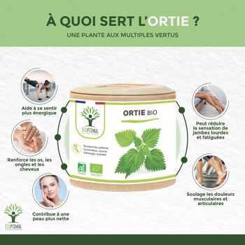 Ortie Bio - Urtica dioica - Complément Alimentaire - 100% Poudre de Feuille Ortie - Vitalité Articulation - 250 mg/gélule - Fabriqué en France - Vegan - gélules 3