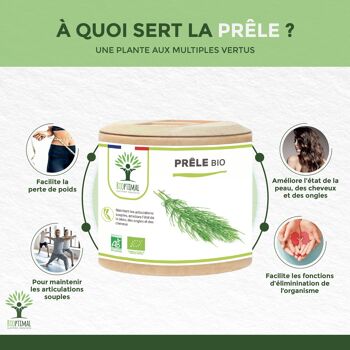Prêle Bio - Complément alimentaire - Articulation Croissance Cheveux Peau Diurétique - 200 mg/gélule - Fabriqué en France - Certifié Ecocert - Vegan -  gélules 3