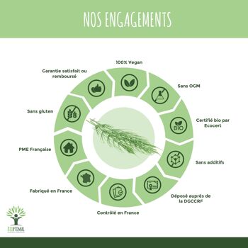 Prêle Bio - Complément alimentaire - Articulation Croissance Cheveux Peau Diurétique - 200 mg/gélule - Fabriqué en France - Certifié Ecocert - Vegan -  gélules 5