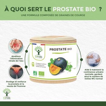 Prostate Bio - Complément alimentaire - Courge Armoise Boldo - Protection & Confort Urinaire Homme - Fabriqué en France - Certifié Ecocert - Vegan - gélules 3