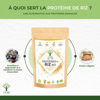 Protéine de Riz Bio - 80% de Protéines - Sport Musculation - Poudre de Riz Brun Germé - Whey Végétale - Conditionné en France - Vegan 4