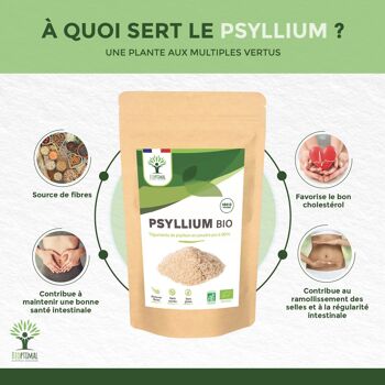 Psyllium Blond Bio - Téguments de Psyllium en Poudre Fine - Husk Powder - Digestion Transit Cholestérol - Superaliment - Fabriqué en France - Vegan - en poudre. 4