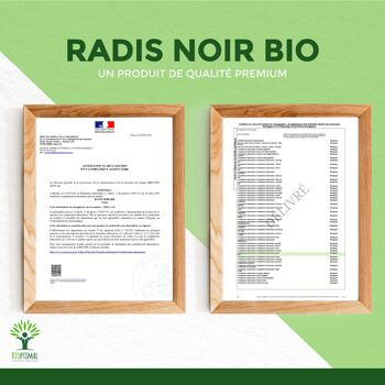 Radis noir Bio - Complément alimentaire - Fabriqué en France - 100% Pur - 300mg/gélule - Certifié Ecocert - Vegan -  gélules 8