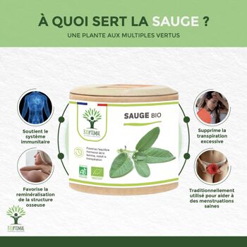 Sauge bio - Salvia officinalis - Complément alimentaire - Cycle menstruel Activité hormonale Transpiration Digestion - Fabriqué en France - Vegan -gélules 3
