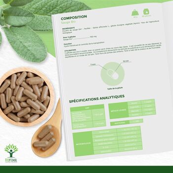 Sauge bio - Salvia officinalis - Complément alimentaire - Cycle menstruel Activité hormonale Transpiration Digestion - Fabriqué en France - Vegan -gélules 6