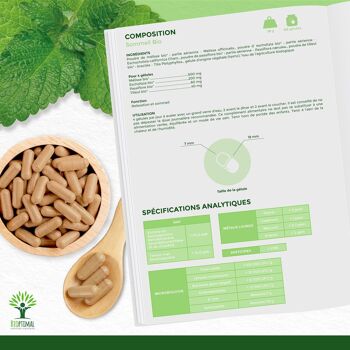Sommeil Bio - Complément alimentaire - 4 Plantes pour Dormir - Détente Relaxation Endormissement - Fabriqué en France - Certifié Ecocert - Vegan - gélules 6