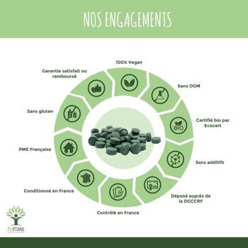 Spiruline Bio - Complément alimentaire - Protéines Phycocyanine Fer - 500 mg/comprimé vegan - Conditionné en France - Certifié Ecocert - Sans additifs - en comprimés 6