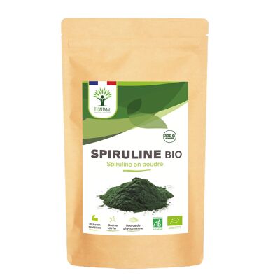 Spirulina Biologica - Proteine ​​di Ferro Ficocianina - Polvere di Spirulina Pura al 100% - Energia - Superfood - Confezionata in Francia - Certificato Ecocert - Vegan - polvere