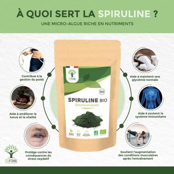 Spiruline Bio - Protéines Phycocyanine Fer - 100% Spiruline Pure en Poudre - Énergie - Superaliment - Conditionné en France - Certifié Ecocert - Vegan - en poudre 3