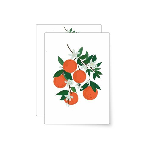 Orangen | Postkarte