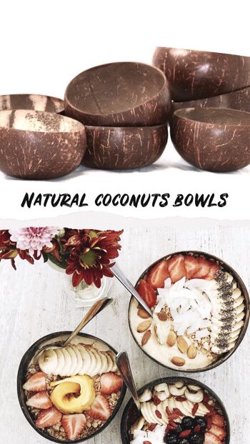 Coconuts Bowl 2