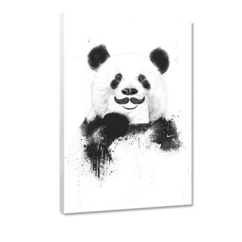Funny Panda - image sur toile avec espace d'ombre 24