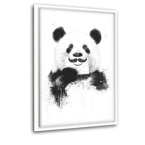 Funny Panda - Leinwandbild mit Schattenfuge