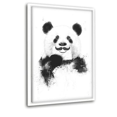 Funny Panda - image sur toile avec espace d'ombre