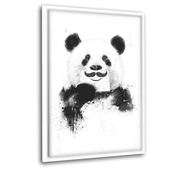 Funny Panda - image sur toile avec espace d'ombre 1