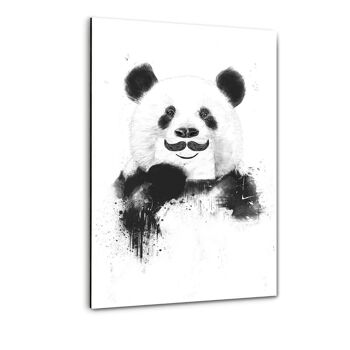 Funny Panda - image sur toile avec espace d'ombre 25