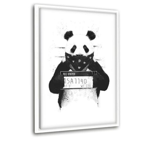 Bad Panda - Leinwandbild mit Schattenfuge