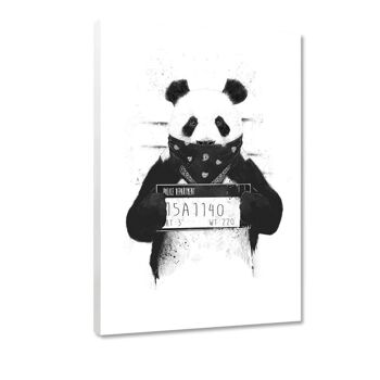 Bad Panda - image sur toile avec espace d'ombre 13