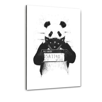 Bad Panda - image sur toile avec espace d'ombre 24