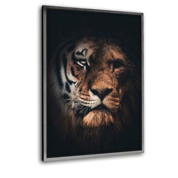 Tiger Lion - tableau sur toile avec espace d'ombre 11