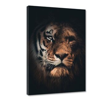 Tiger Lion - tableau sur toile avec espace d'ombre 14