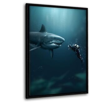 Shark x Diver - Toile avec espace d'ombre 19