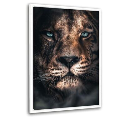 Mysterious Lioness - Leinwandbild mit Schattenfuge