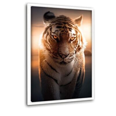 Tigre majestuoso - Lienzo con espacio de sombra
