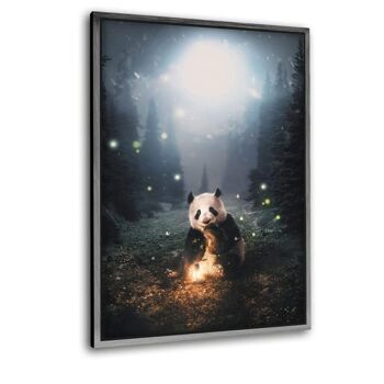Panda Magique - Toile avec espace d'ombre 11