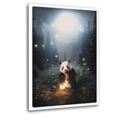 Magical Panda - Leinwandbild mit Schattenfuge